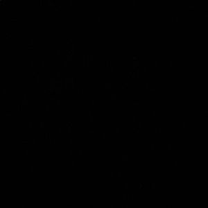 Meet your Posher, Kiran